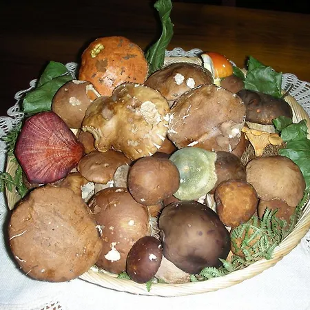 Gasthuis Delle Rose - Paradiso 3*