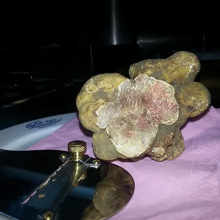 Delle Rose - Paradiso Gasthuis Amandola