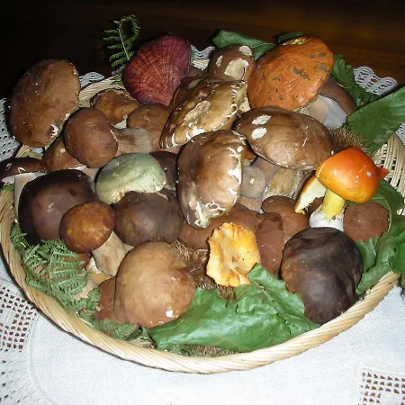 Gasthuis Delle Rose - Paradiso