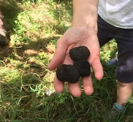 Delle Rose - Paradiso Gasthof 3*