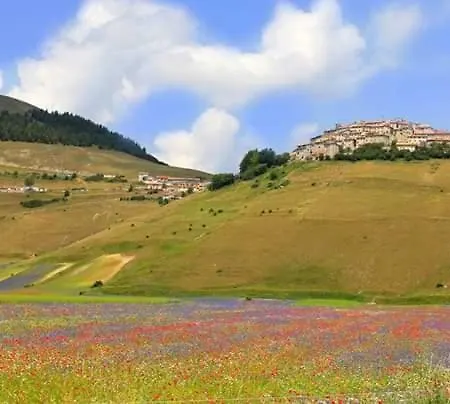Delle Rose - Paradiso